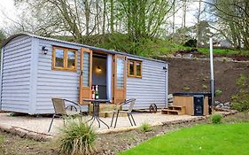 Lintmill Lodges - Bluebell Shepherds Hut